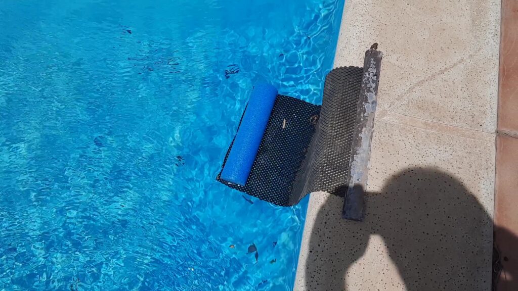 hedgehog scamper mat for swimming pool